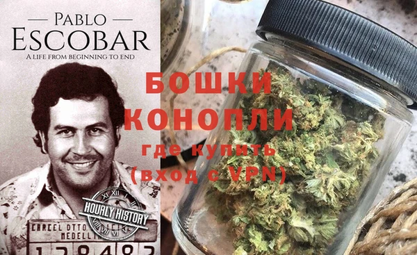 сатива Куйбышев
