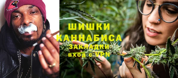сатива Куйбышев