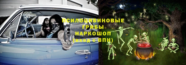 сатива Куйбышев