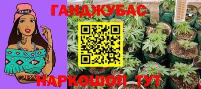 прущие грибы Гусиноозёрск