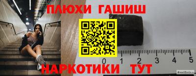 прущие грибы Гусиноозёрск