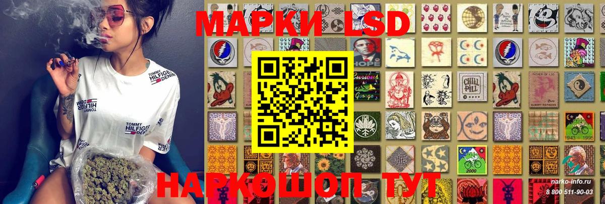 наркошоп  Назрань  Марки NBOMe 1,5мг  Марки NBOMe 1,5мг 