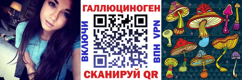 Галлюциногенные грибы GOLDEN TEACHER  площадка формула  Назрань 