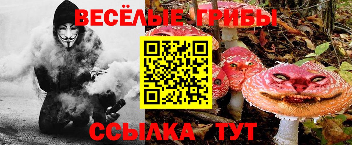 Галлюциногенные грибы мухоморы  Назрань 