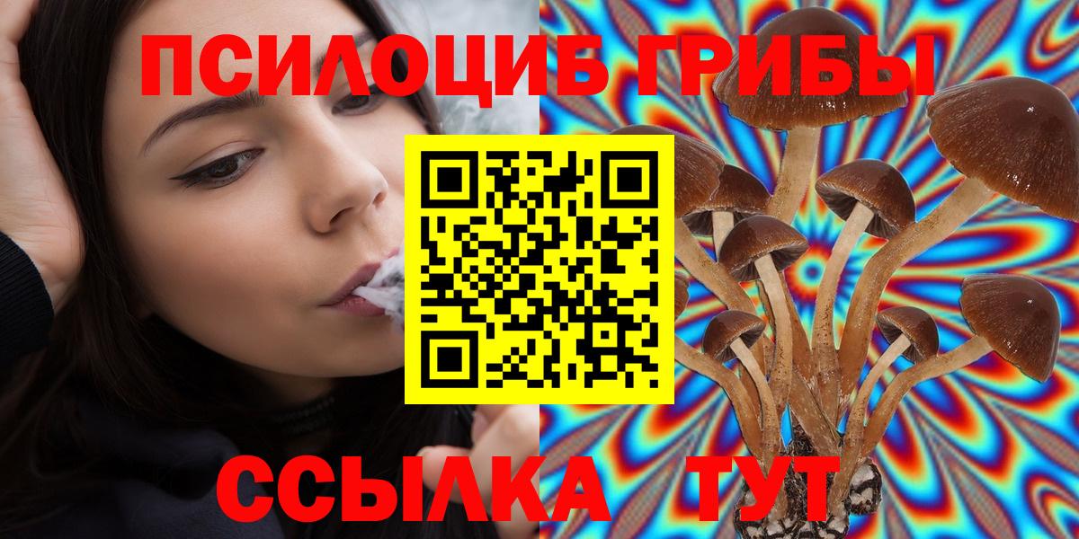 Псилоцибиновые грибы Magic Shrooms  Вход с VPN  Назрань  продажа наркотиков  Псилоцибиновые грибы GOLDEN TEACHER 