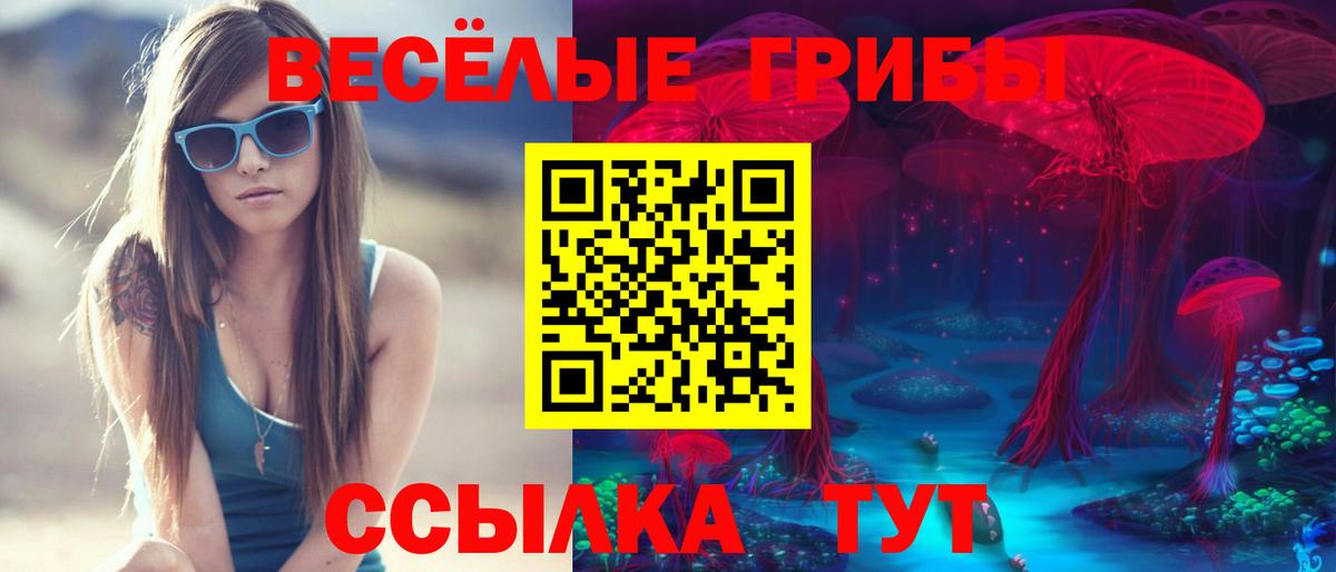 Псилоцибиновые грибы Cubensis Назрань