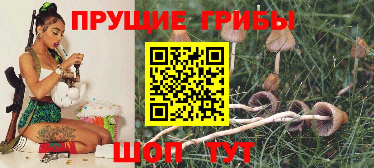 Галлюциногенные грибы ЛСД Назрань